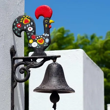 Lotus Villa, Βίλα *